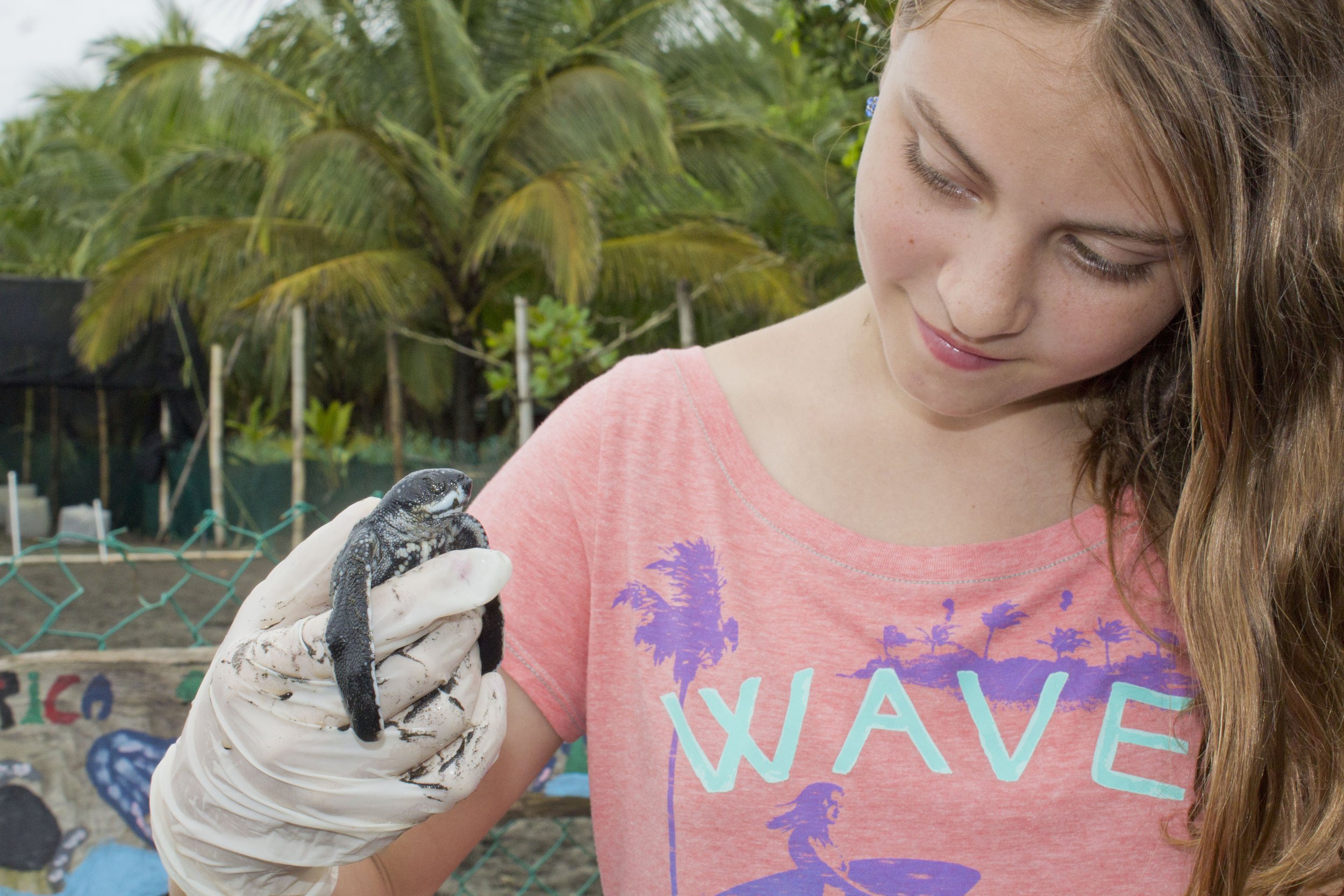 student with turtle hatchling