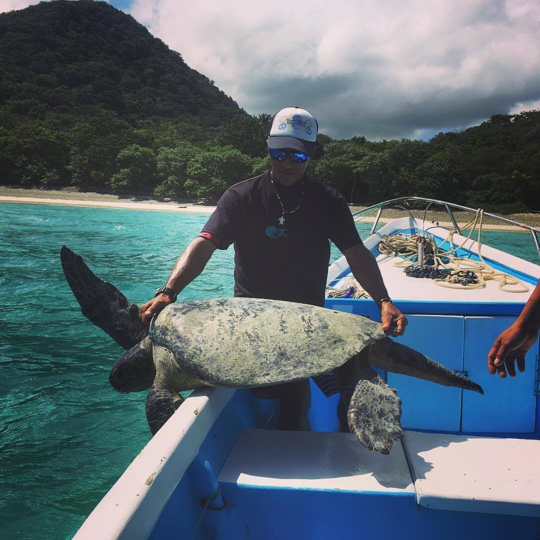 Day 2: The group will participate in an in-water turtle research project, looking for and studying black, green, and hawksbill turtles. (photo: Equipo Tora Carey)