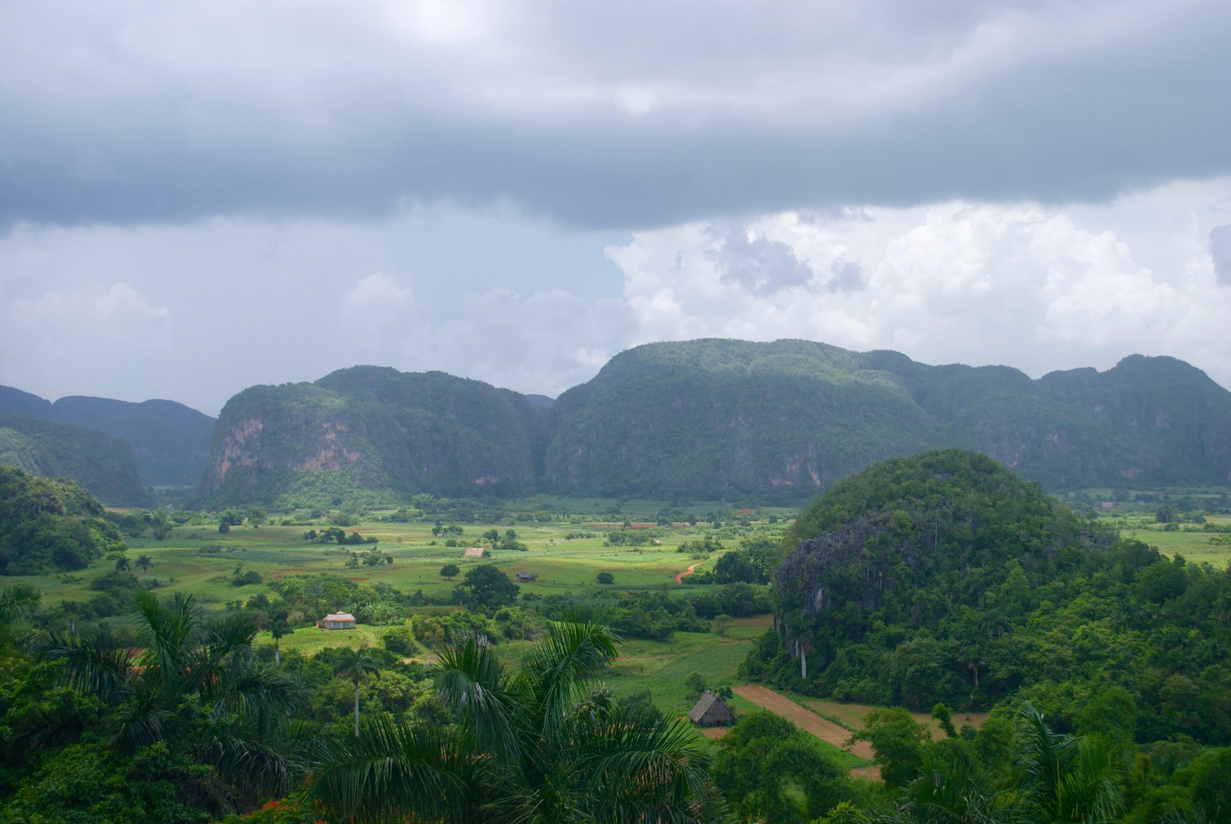 Day 4: Explore the Viñales valley and have lunch at the Mural of Prehistory before boarding the bus to Guanahacabibes National Park.
