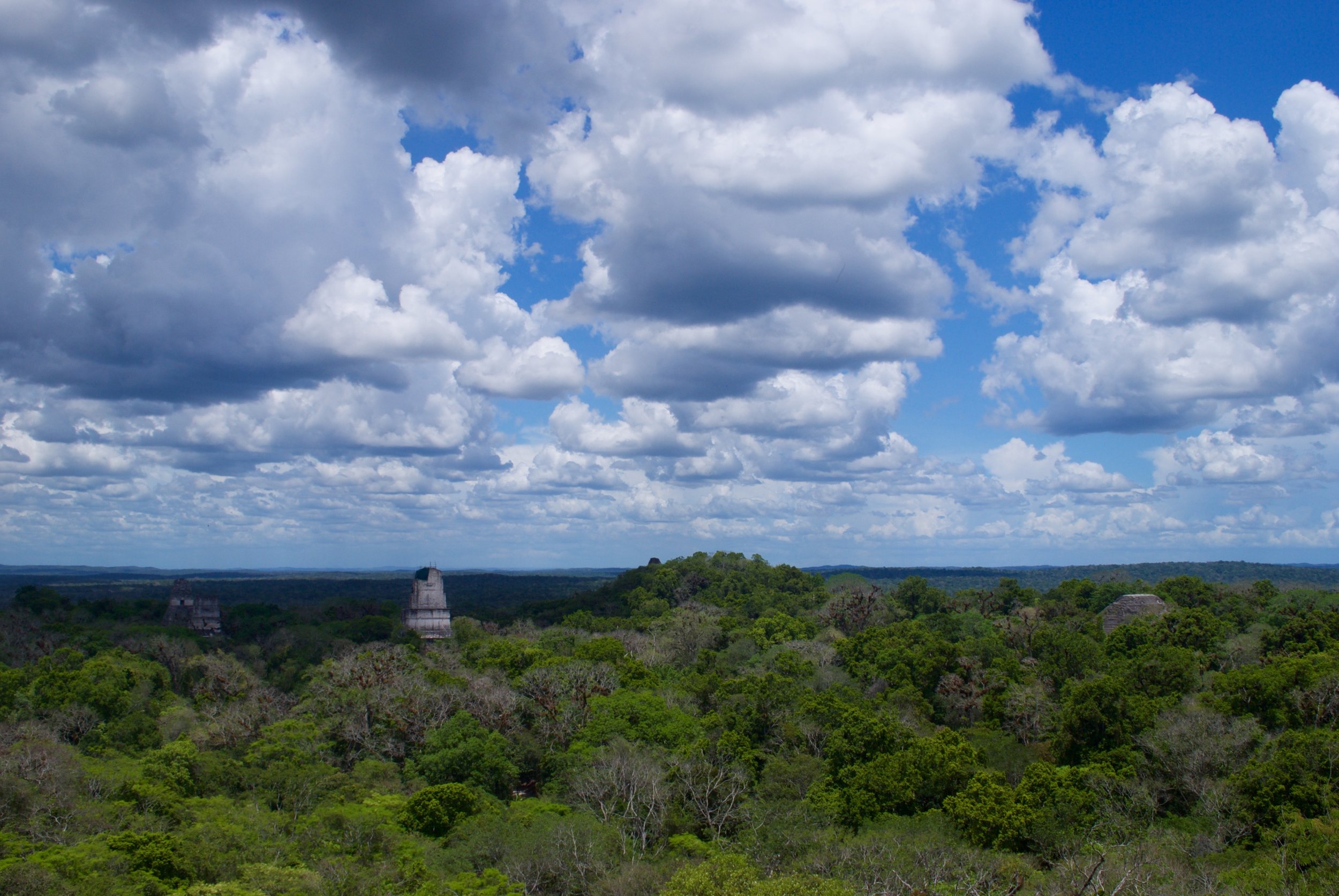 Spend all day at Tikal, having a picnic lunch and climbing to the top of the temples for a great view
