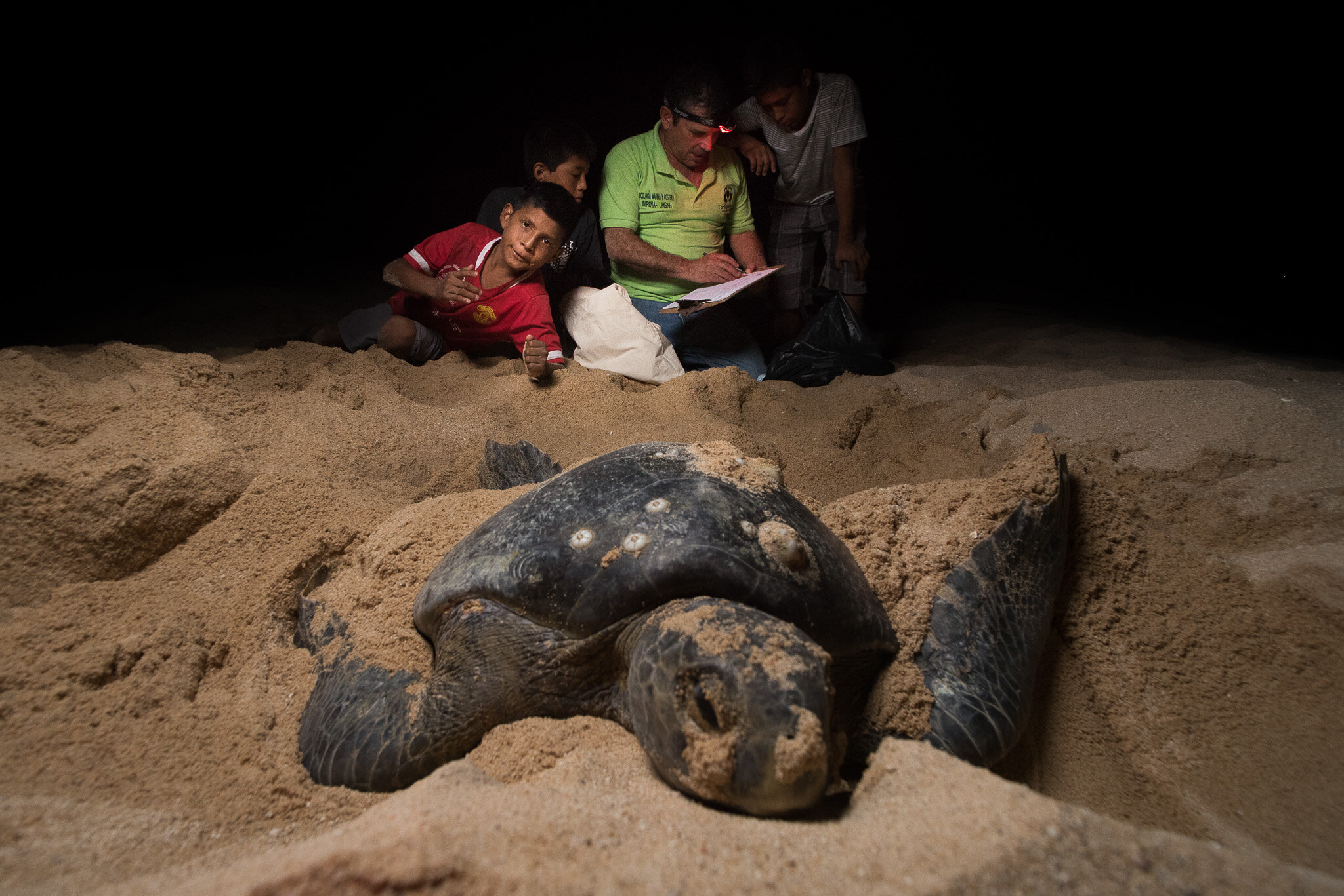  Local kids working with a black turtle 