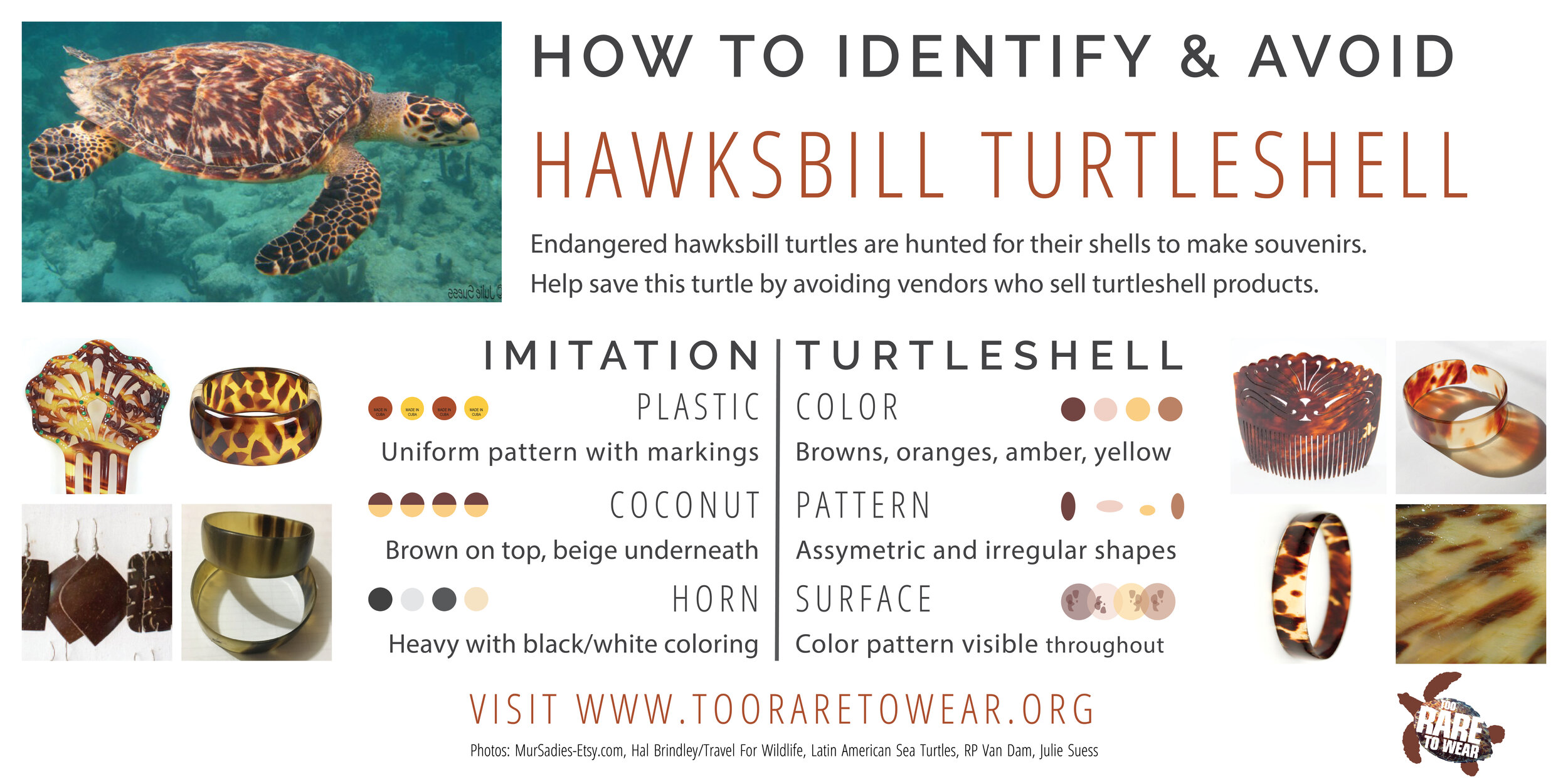 Turtleshell Guide