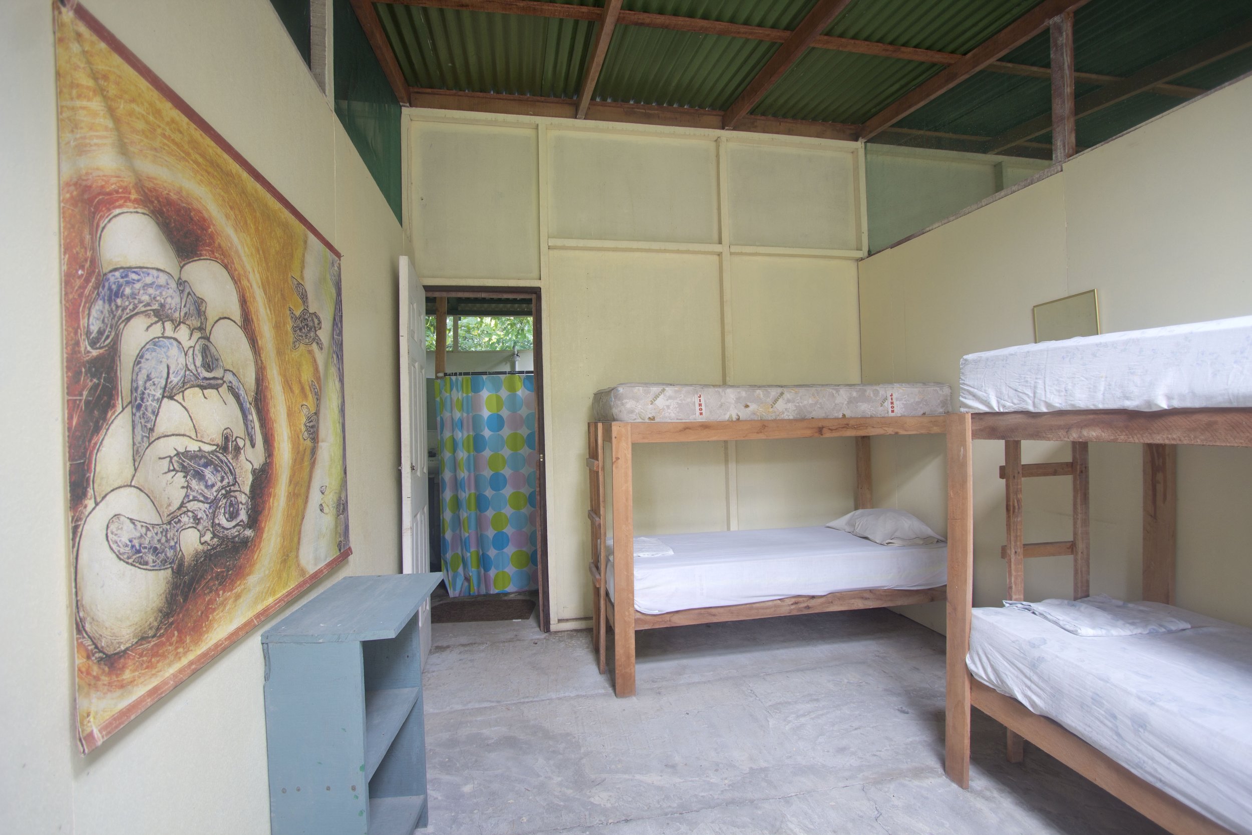 Volunteer lodging at Las Tortugas