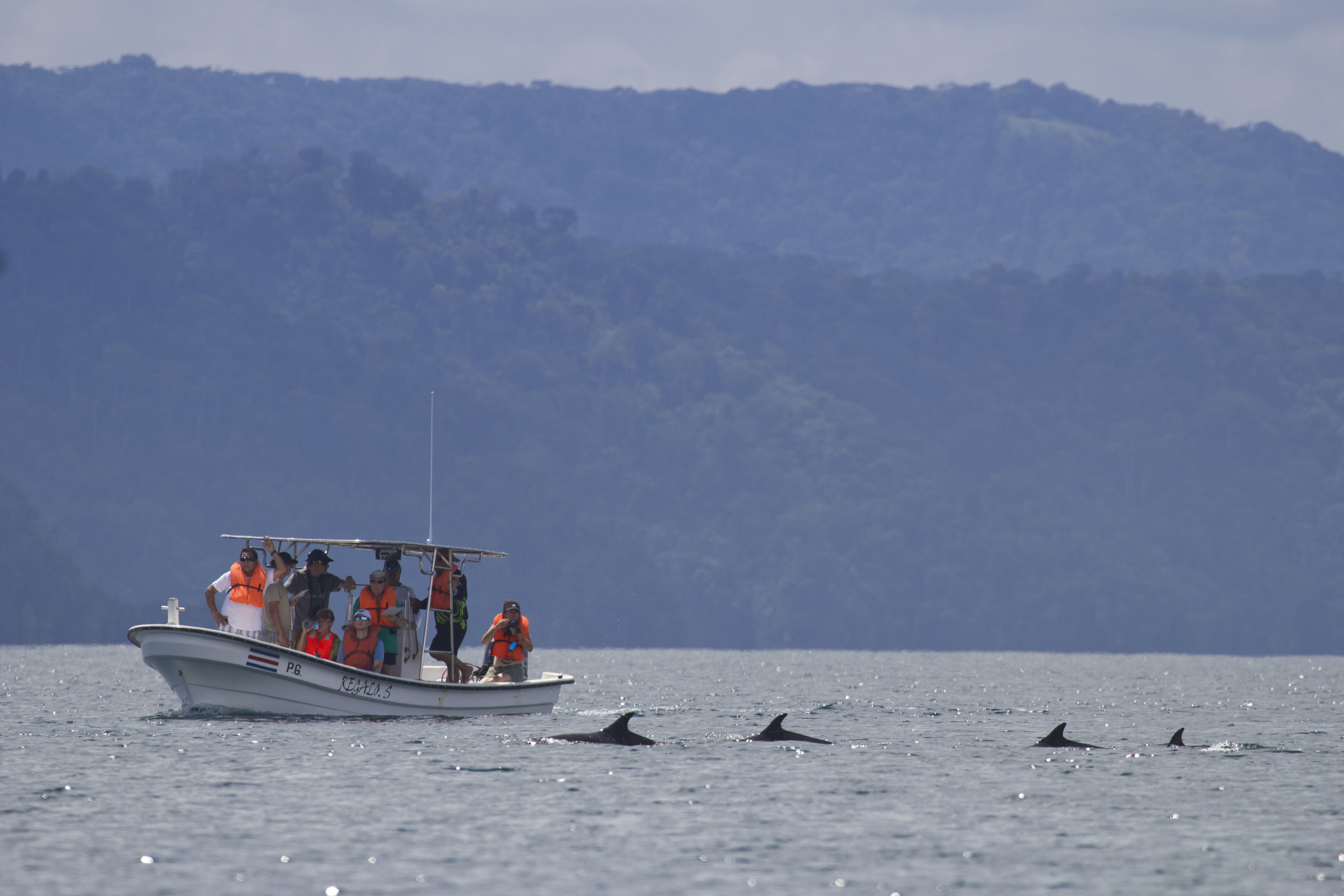 DOLPHIN WATCHING WITH CEIC (PHOTO HAL BRINDLEY)
