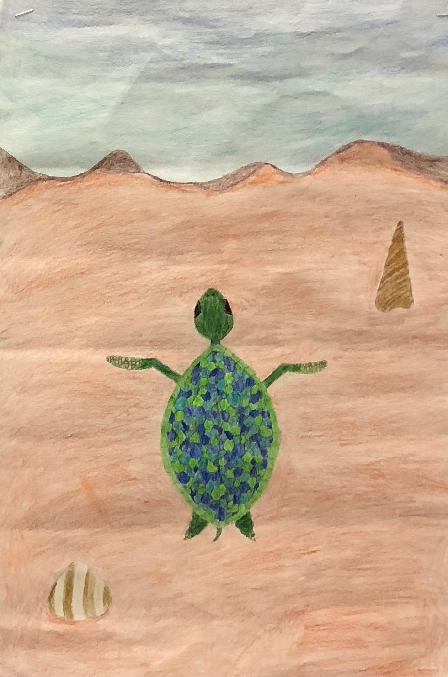 Turtle colored pencil.jpg