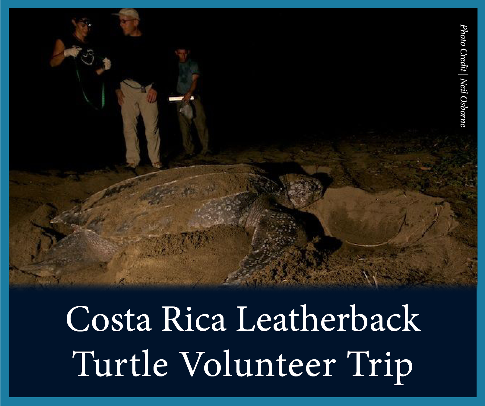 Costa Rica Leatherbacks.png