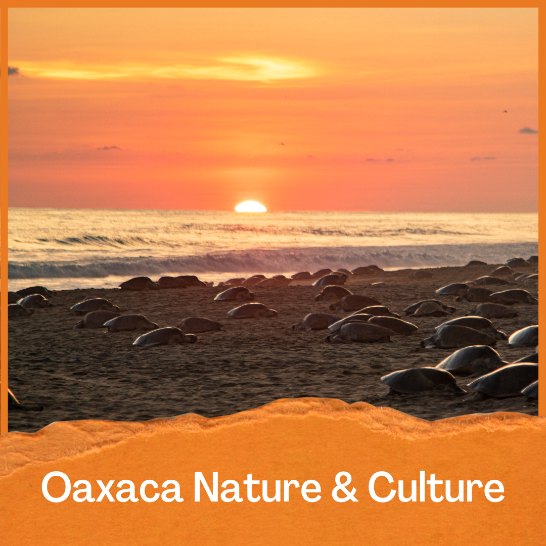 Oaxaca Nature & Culture