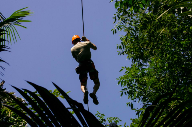 After a picnic lunch, explore the rainforest canopy by zipline